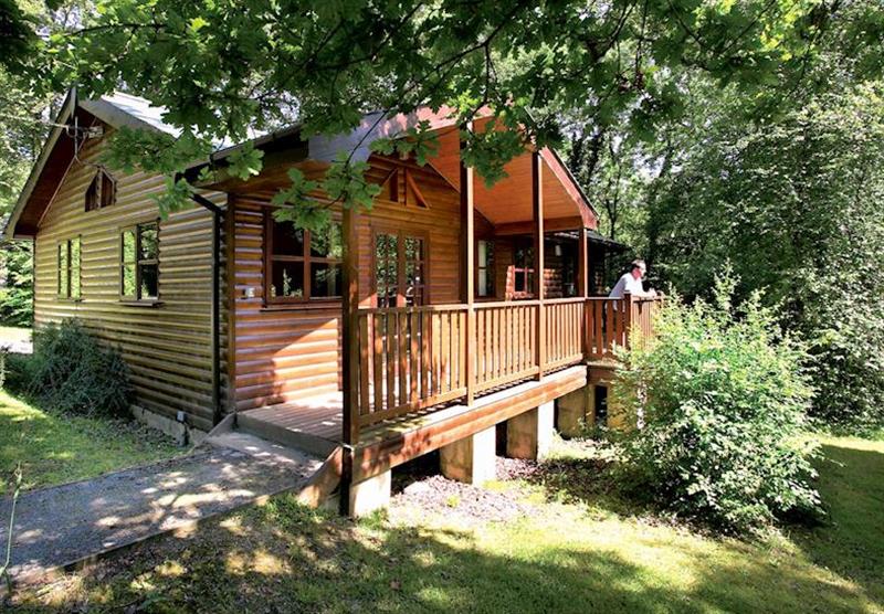 Typical Goldcrest Lodge at Woodland Lodges in Carmarthenshire, South Wales