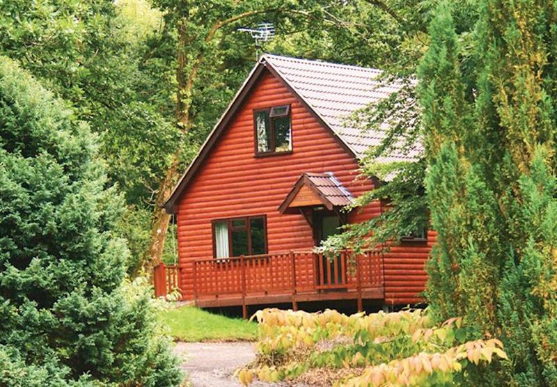 Typical Jay Lodge at Woodland Lodges in Carmarthenshire, South Wales