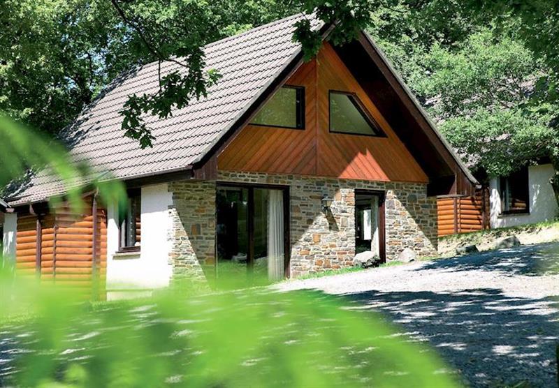 Typical Woodpecker Lodge at Woodland Lodges in Carmarthenshire, South Wales