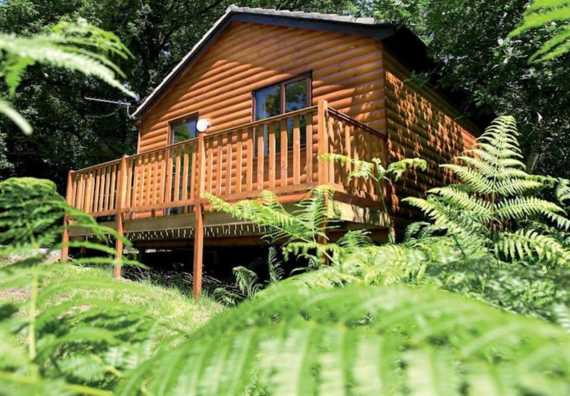 Typical Wren Lodge at Woodland Lodges in Carmarthenshire, South Wales