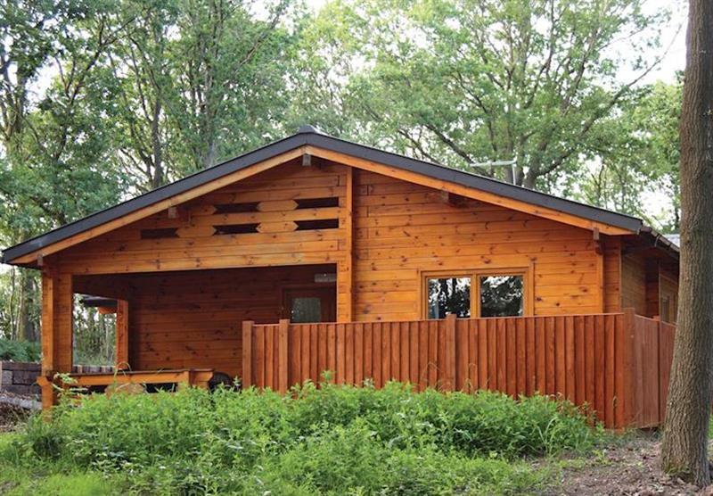 Woodland Birch Lodge
