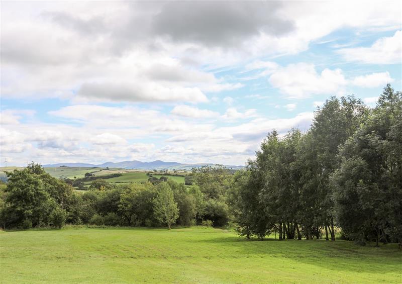 Rural landscape at Woodland Pod, Maerdy near Corwen