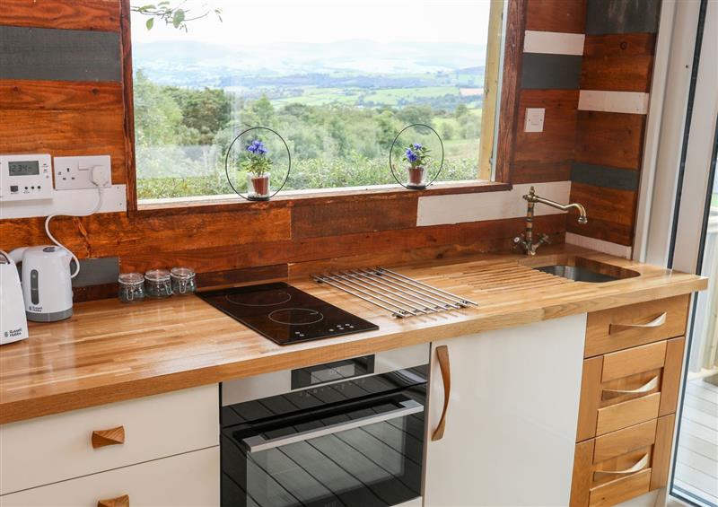 The kitchen at Woodland Pod, Maerdy near Corwen