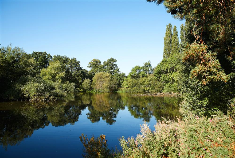 Enjoy the views within Dunstall Park at Woodland Retreat, Burton on Trent