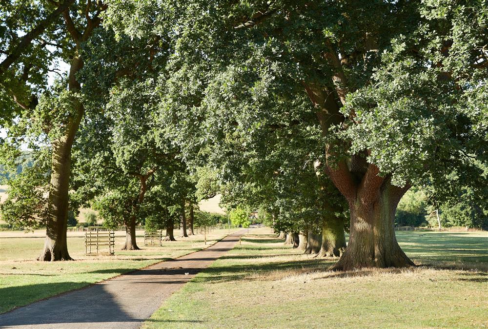 Several walks around Dunstall Park at Woodland Retreat, Burton on Trent