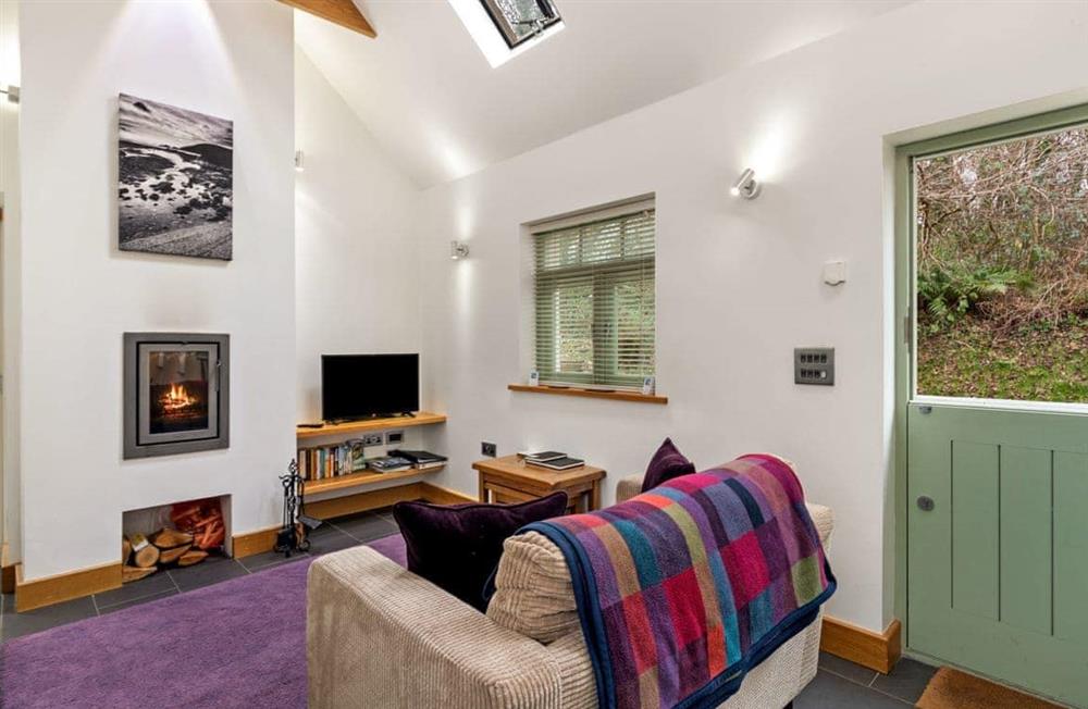 Enjoy the living room at Woodland Retreat in Near Solva, Pembrokeshire, Dyfed