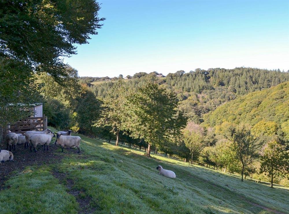 Lovely country views at Woodland Retreat in Polbrock, Washaway, Cornwall., Great Britain