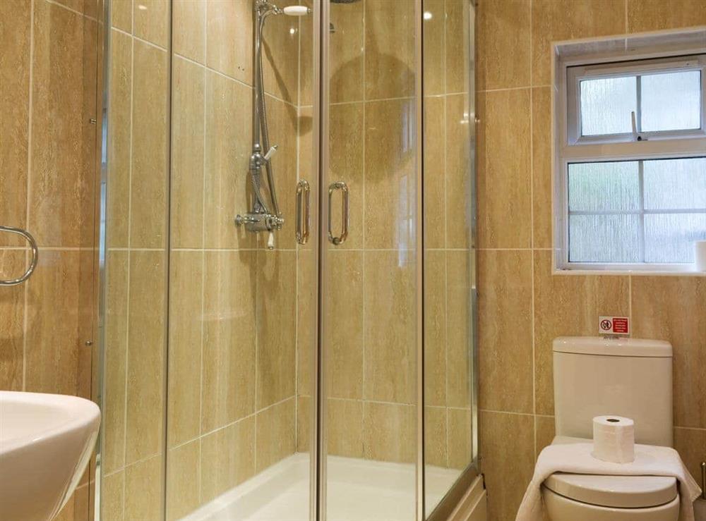 Shower room at Woodland Retreat in Polbrock, Washaway, Cornwall., Great Britain