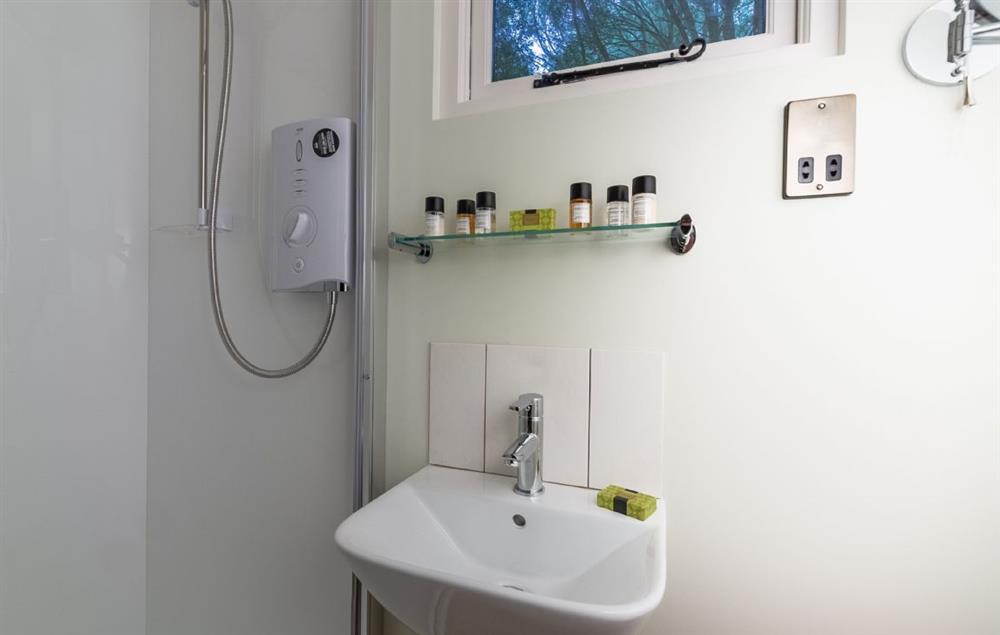 Shower room with electric shower, wash basin and wc at Woodland Retreat Shepherds Hut, Brundish