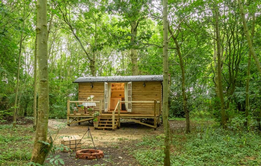Woodland Retreat Shepherd’s Hut situated in a peaceful and picturesque wood