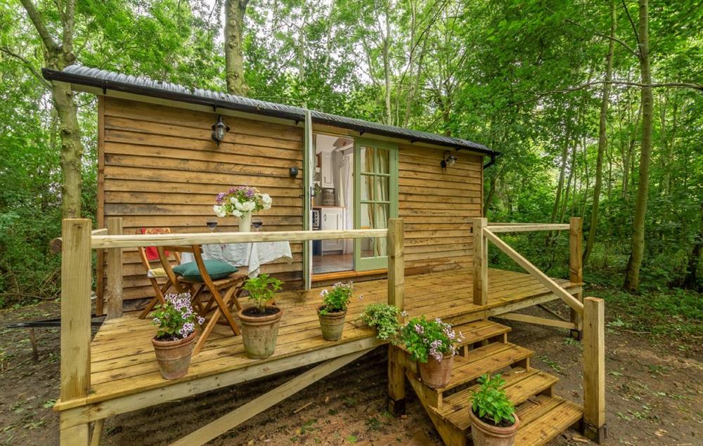 Woodland Retreat Shepherd’s Hut situated in a peaceful and picturesque wood at Woodland Retreat Shepherds Hut, Brundish