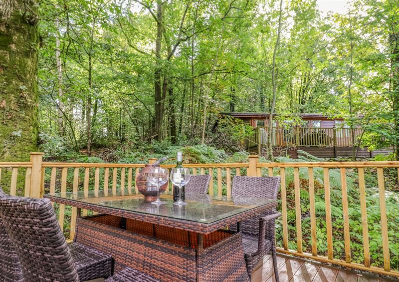This is the setting of Woodland Retreat at Woodland Retreat, Skiptory Howe 41A