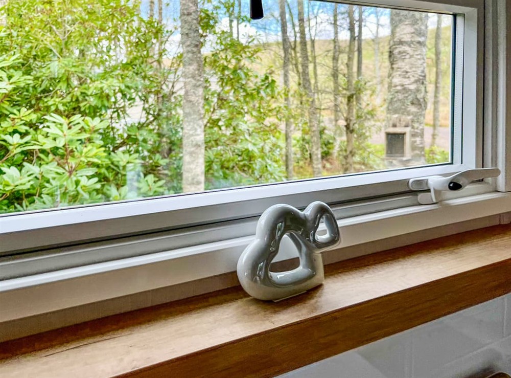 View at Woodland Serenity in Edzell, Aberdeenshire