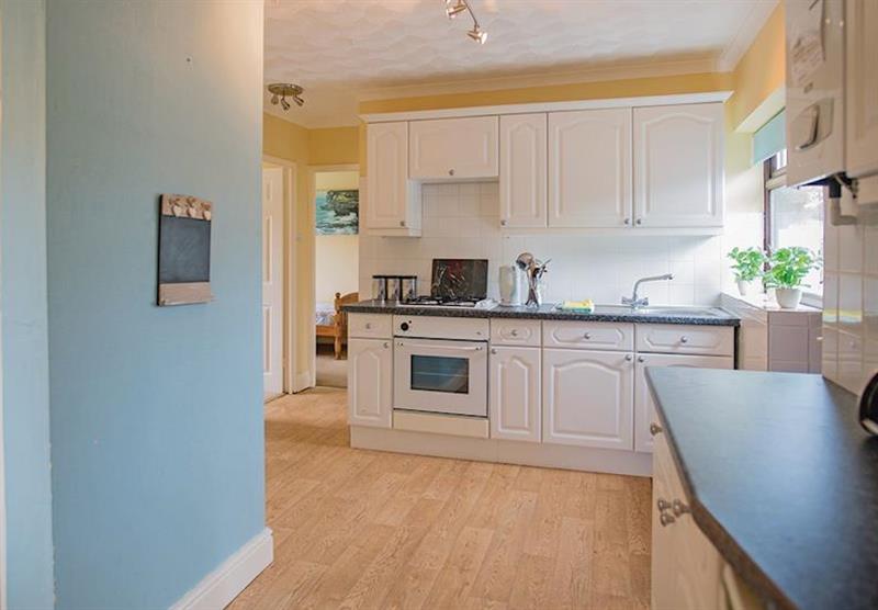 The kitchen in The Retreat at Woodland Vale Holiday Park in Ludchurch, Nr Saundersfoot