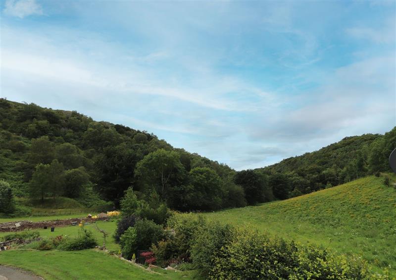 Rural landscape at Woodland View, Eryrys near Llanarmon-Yn-Ial