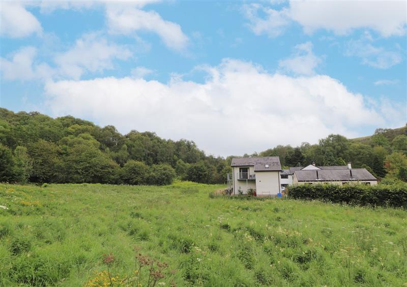 The area around Woodland View (photo 2) at Woodland View, Eryrys near Llanarmon-Yn-Ial