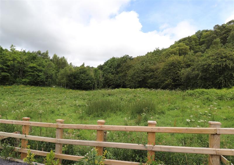 The setting around Woodland View at Woodland View, Eryrys near Llanarmon-Yn-Ial