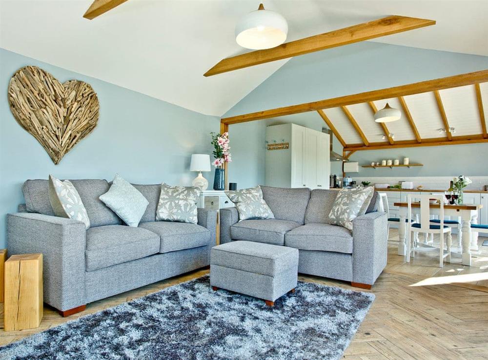 Beautifully presented open plan living space at Woodland View Lodge in Axminster, Devon