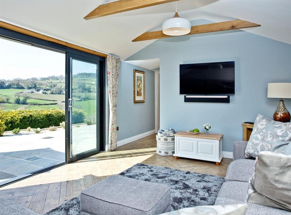 Charming living area at Woodland View Lodge in Axminster, Devon