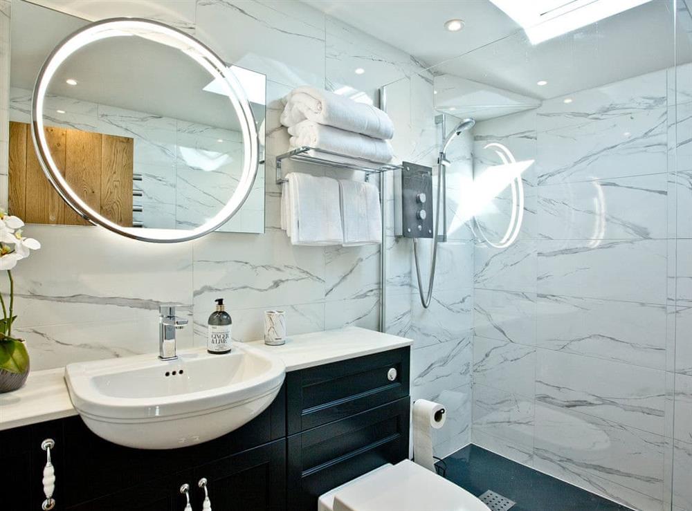 Well presented en-suite with walk-in shower at Woodland View Lodge in Axminster, Devon