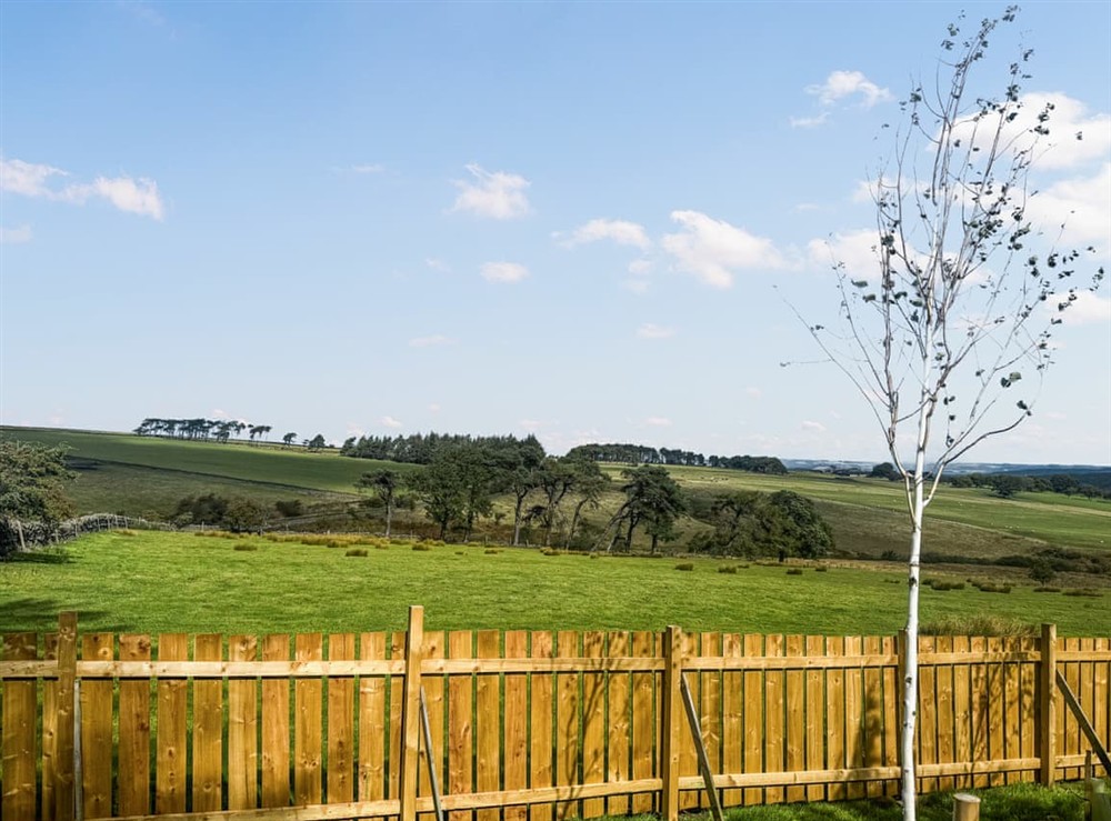 Exterior (photo 5) at Woodland View Lodge in Hexham, Northumberland