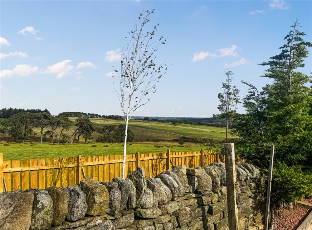 Exterior (photo 9) at Woodland View Lodge in Hexham, Northumberland