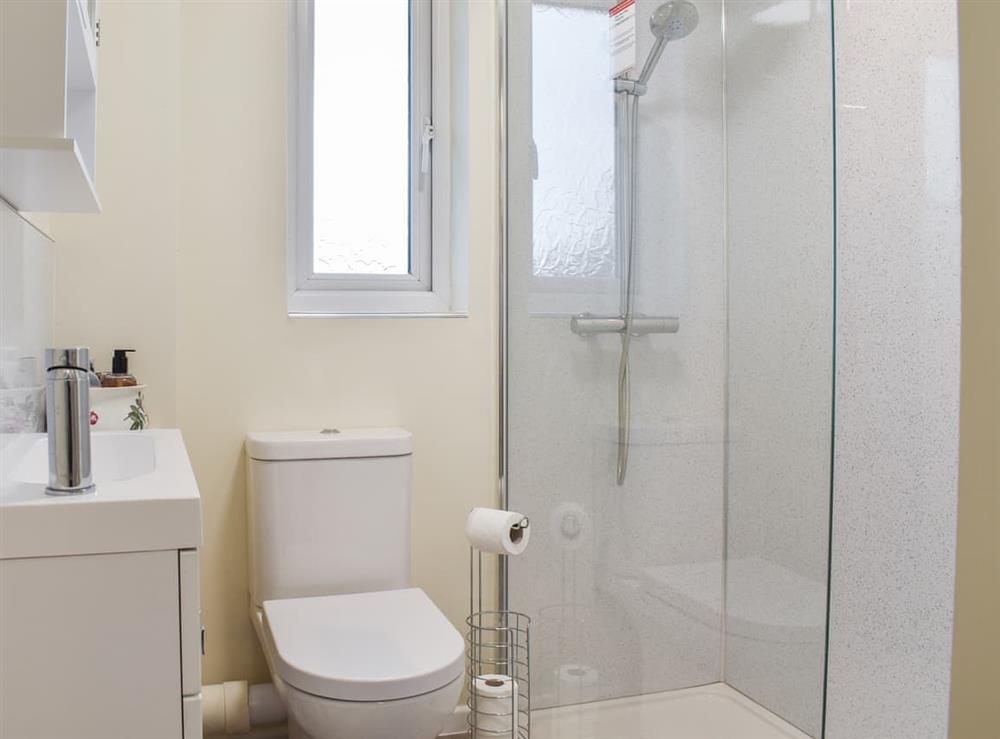 Shower room at Woodlander in Dorchester, Dorset