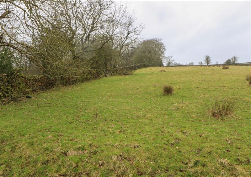 Rural landscape at Woodlands, Cononley
