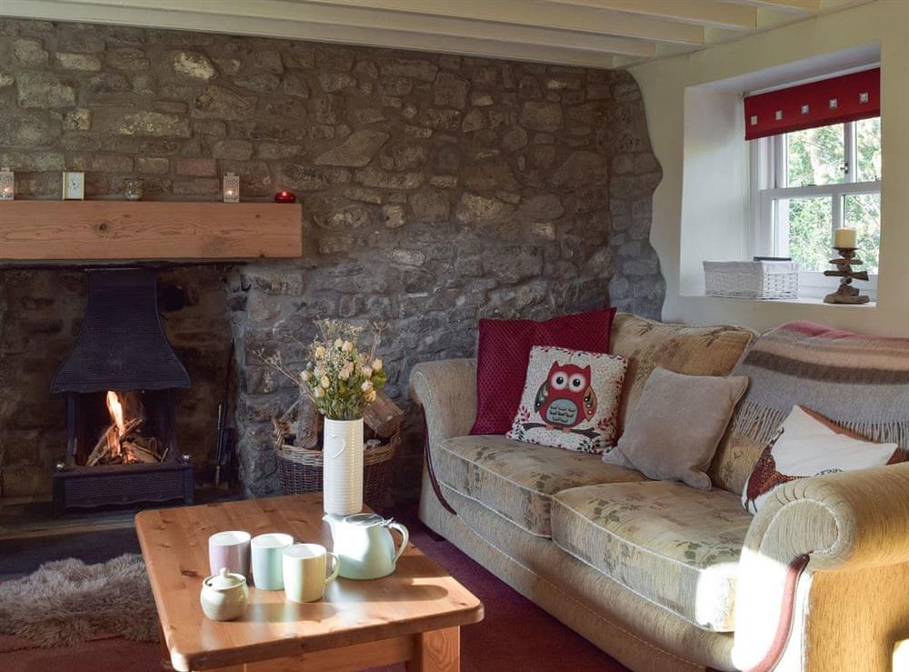 Living room with open fire (photo 2) at Woodlands Cottage in Hook, near Haverfordwest, Dyfed