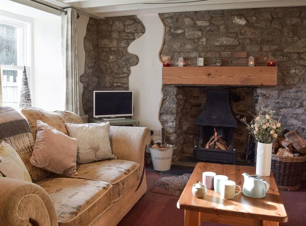 Living room with open fire at Woodlands Cottage in Hook, near Haverfordwest, Dyfed
