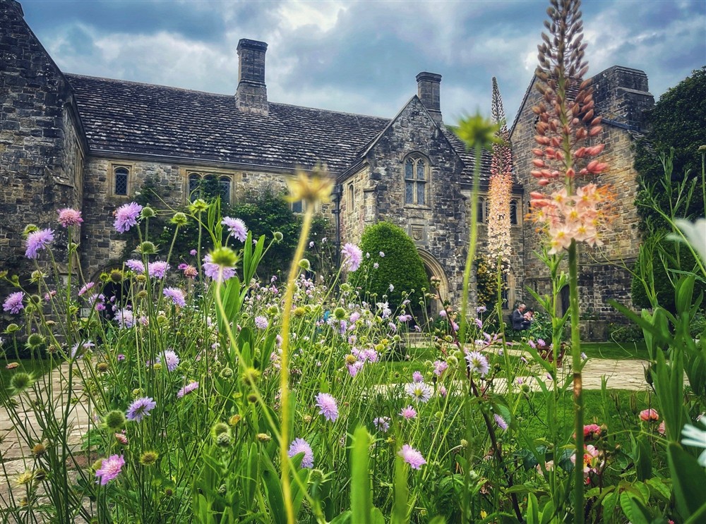 Forecourt Garden in full summer at Woodlands Cottage in Nr Haywards Heath, West Sussex
