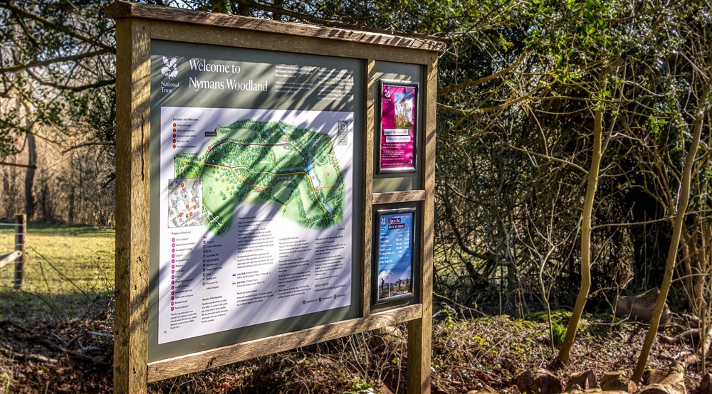 The woods at Woodlands Cottage in Nr Haywards Heath, West Sussex