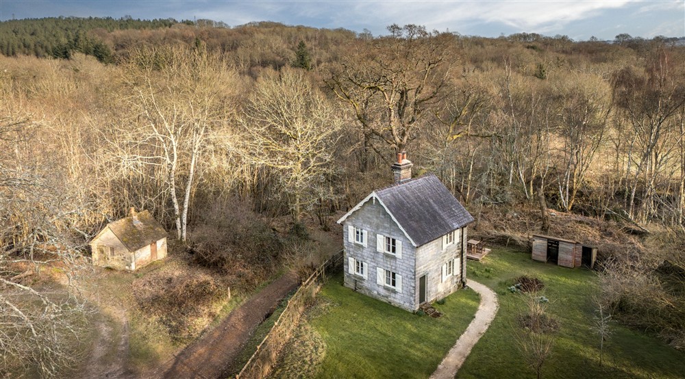 Woodlands Cottage and the surrounding woodland, Sussex at Woodlands Cottage in Nr Haywards Heath, West Sussex