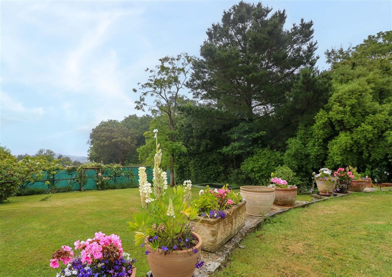 The garden (photo 2) at Woodlands, Freshwater