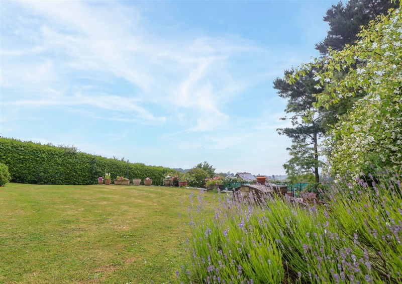 The garden in Woodlands (photo 3) at Woodlands, Freshwater