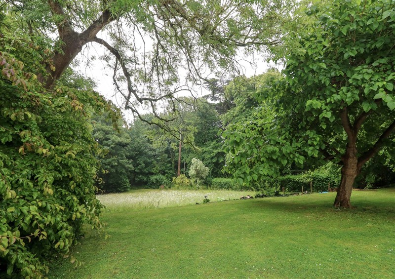 The garden in Woodlands (photo 4) at Woodlands, Freshwater