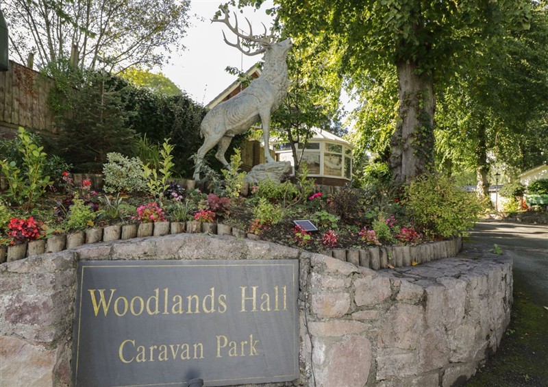 The garden at Woodlands Gold (WO 41), Ruthin