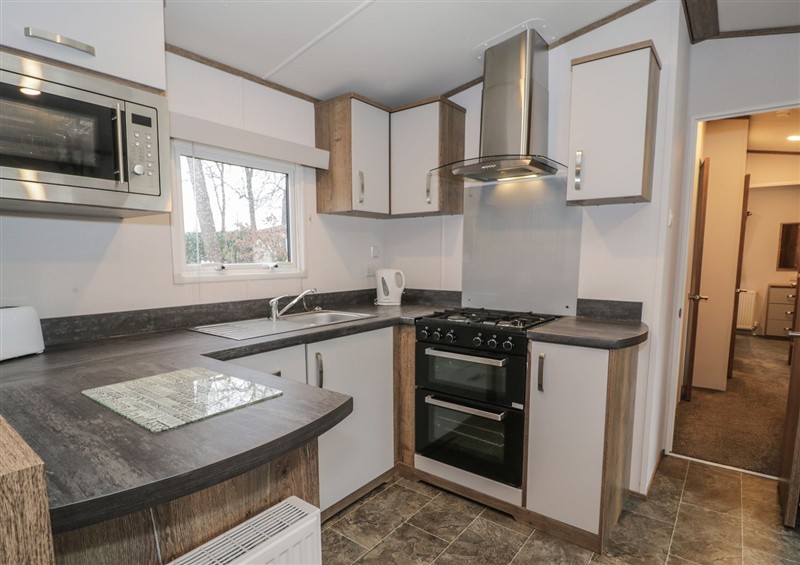 This is the kitchen at Woodlands Gold (WO 41), Ruthin