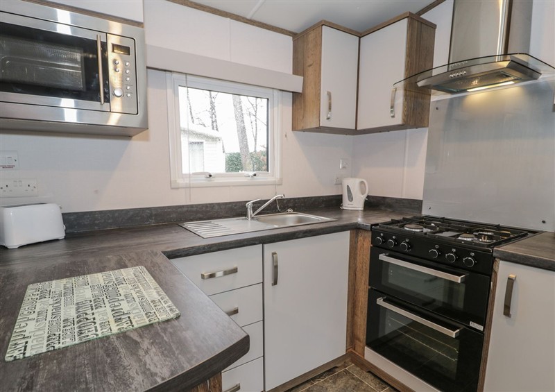 Kitchen at Woodlands Gold (WO40), Ruthin