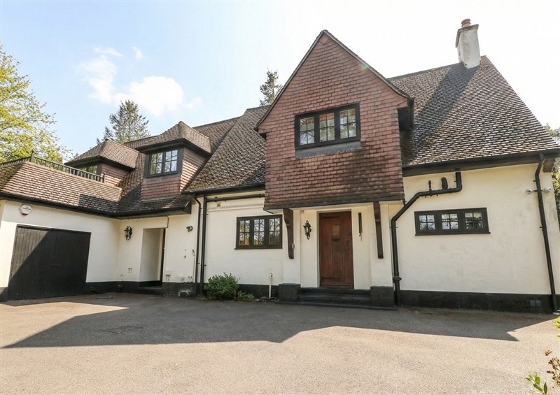 Outside at Woodlands House, Ringwood