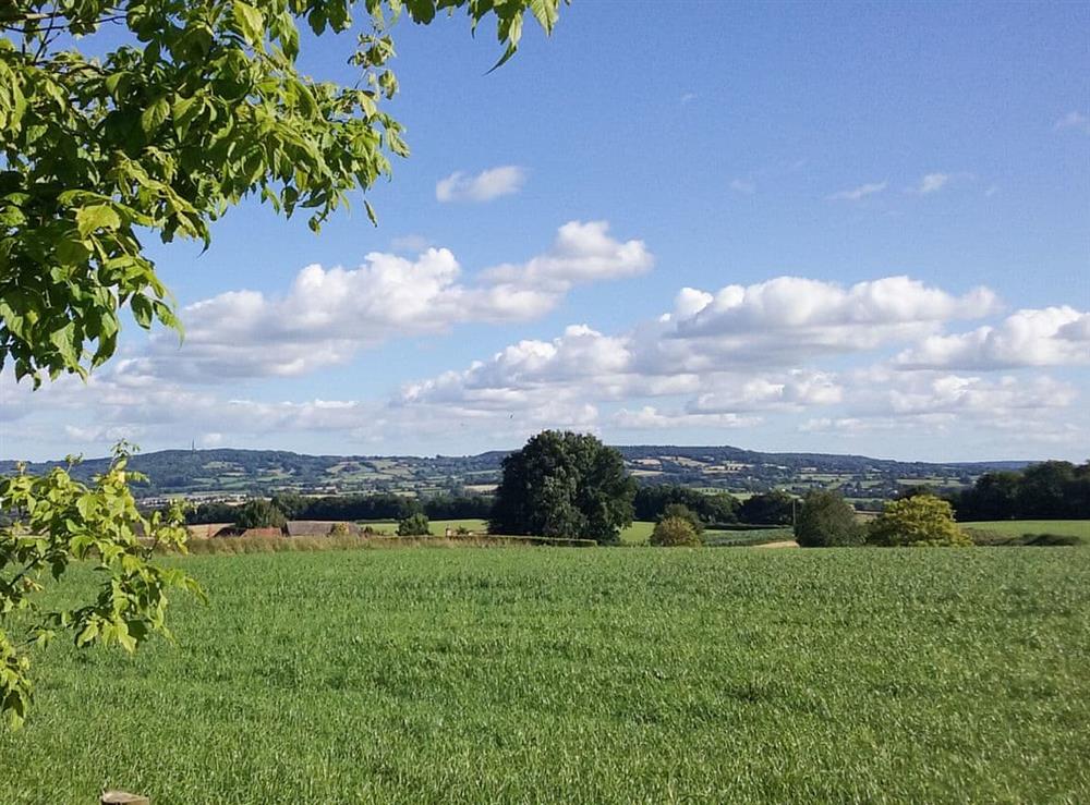 View at Woodlands in Langford Budville, near Wellington, Somerset