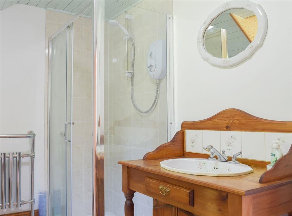 Bathroom with shower cubicle and heated towel rail at Woodlands in Laugharne, near Pendine, Carmarthenshire, Dyfed