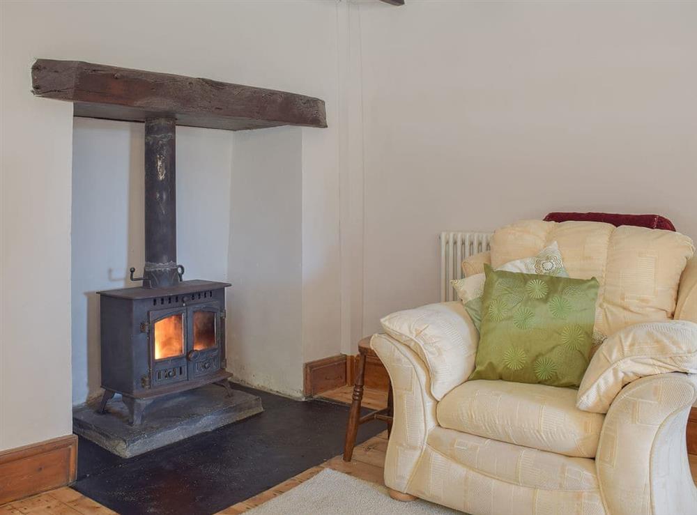 Cosy and warm living room at Woodlands in Laugharne, near Pendine, Carmarthenshire, Dyfed