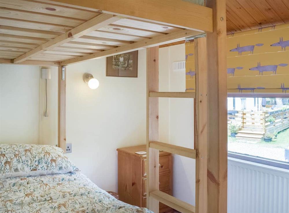 Bunk bedroom (photo 2) at Woodlands Lodge in Ballantrae, Ayrshire