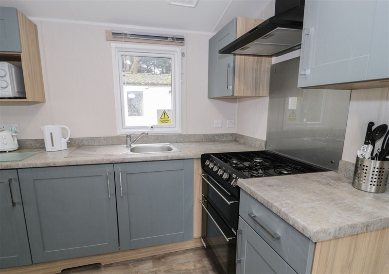 The kitchen at Woodlands Platinum (WO29), Ruthin