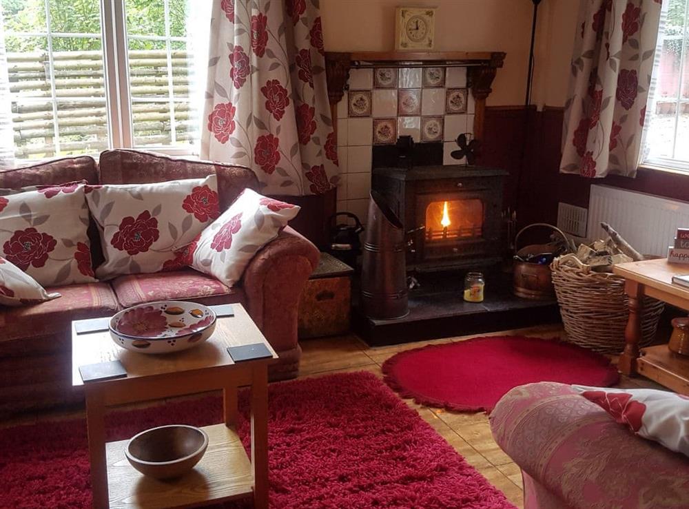 Living room at Woodlands Retreat in Blackbridge, near Milford Haven, Dyfed