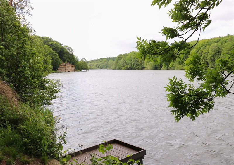 The setting