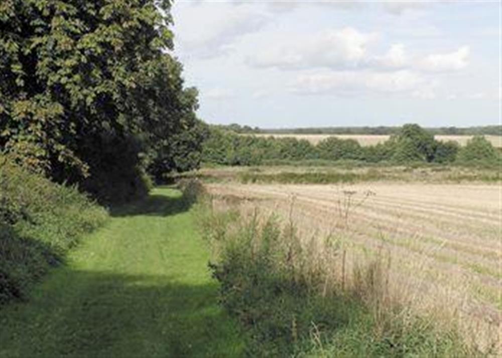 Surrounding area at Woodpecker in Horsford, near Norwich, Norfolk
