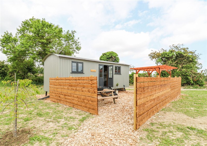 Enjoy the garden at Woodpecker, Lode near Bottisham