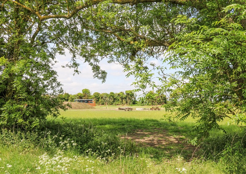 In the area at Woodpecker, Lode near Bottisham